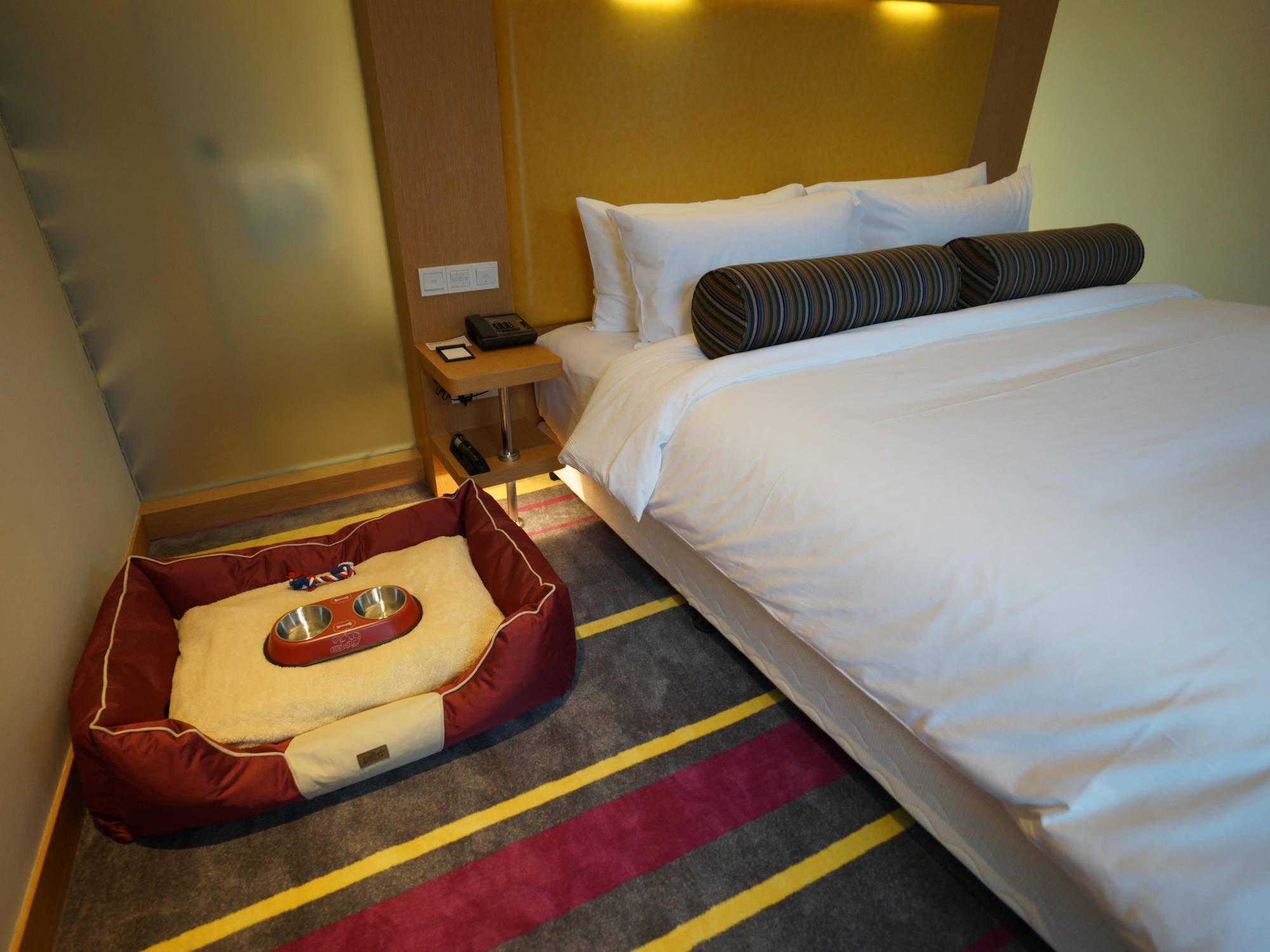 Aloft Dynamic Town Hotell Shenzhen Exteriör bild